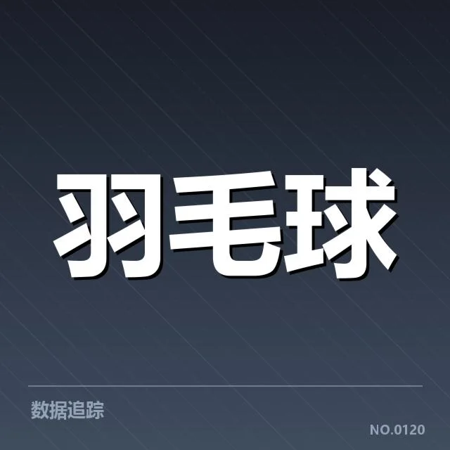 香港羽毛球队排名争夺:实力与战术调整能否突破瓶颈